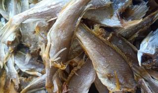 两条鱼儿穿过海一样咸的河水 两条鱼儿穿过海一样咸的河水