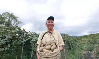 奔跑在田野上心情好与不好 奔跑在田野上心情好与不好