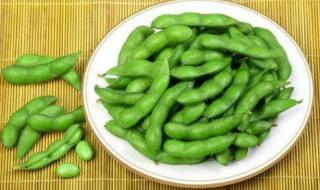 黄豆和毛豆是不是一种东西 黄豆和毛豆是不是一种东西