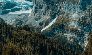 高山仰止景行行止的意思 高山仰止景行行止的意思