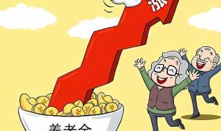 企业退休人员养老金 企业退休人员养老金