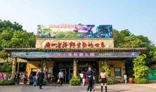 长隆国际大马戏攻略 长隆国际大马戏攻略