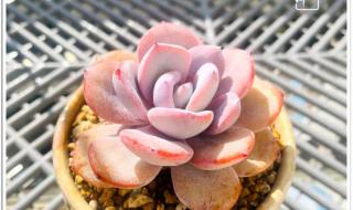 你是落在我世界里的一束光 你是落在我世界里的一束光