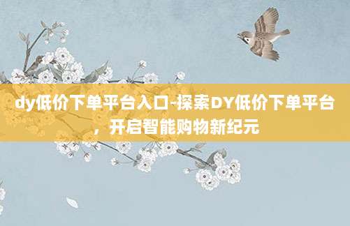 dy低价下单平台入口-探索DY低价下单平台,开启智能购物新纪元