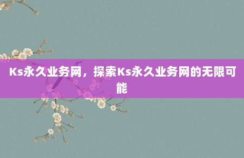 Ks永久业务网,探索Ks永久业务网的无限可能
