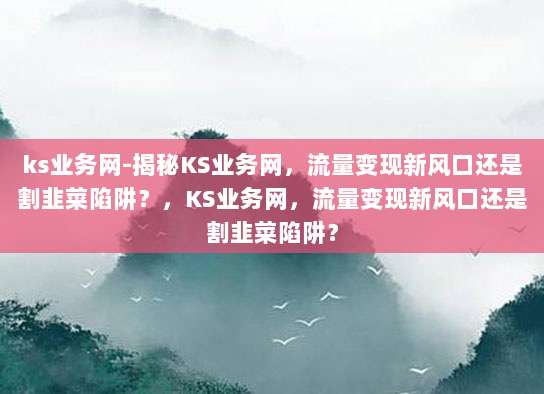 ks业务网-揭秘KS业务网,流量变现新风口还是割韭菜陷阱?,KS业务网,流量变现新风口还是割韭菜陷阱?