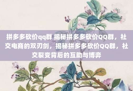 拼多多砍价qq群 揭秘拼多多砍价QQ群,社交电商的双刃剑,揭秘拼多多砍价QQ群,社交裂变背后的互助与博弈