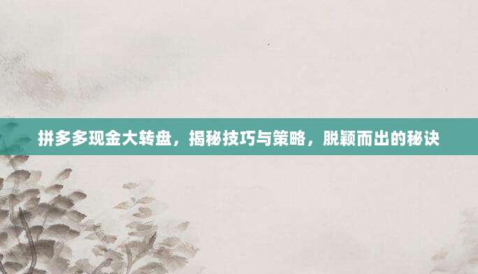 拼多多现金大转盘,揭秘技巧与策略,脱颖而出的秘诀