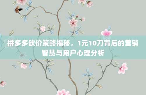 拼多多砍价策略揭秘,1元10刀背后的营销智慧与用户心理分析