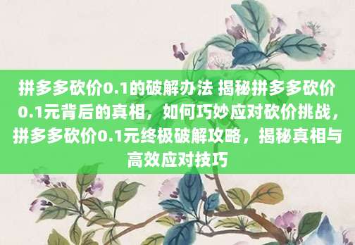 拼多多砍价0.1的破解办法 揭秘拼多多砍价0.1元背后的真相,如何巧妙应对砍价挑战,拼多多砍价0.1元终极破解攻略,揭秘真相与高效应对技巧