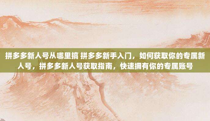 拼多多新人号从哪里搞 拼多多新手入门,如何获取你的专属新人号,拼多多新人号获取指南,快速拥有你的专属账号