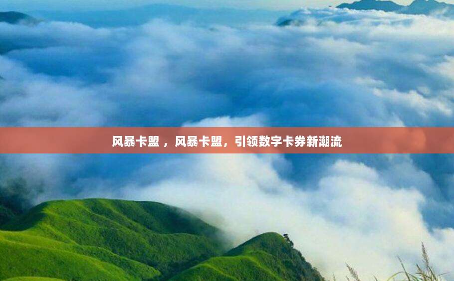 风暴卡盟 ,风暴卡盟,引领数字卡券新潮流