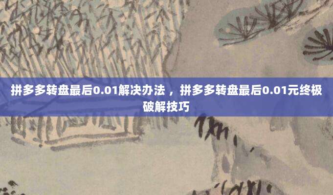 拼多多转盘最后0.01解决办法 ,拼多多转盘最后0.01元终极破解技巧