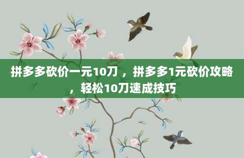 拼多多砍价一元10刀 ,拼多多1元砍价攻略,轻松10刀速成技巧