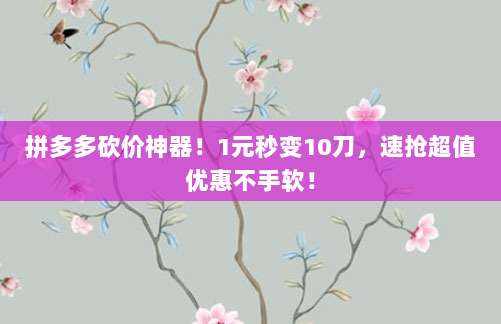 拼多多砍价神器!1元秒变10刀,速抢超值优惠不手软!