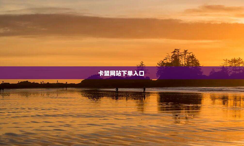 卡盟网站下单入口