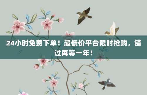 24小时免费下单!超低价平台限时抢购,错过再等一年!