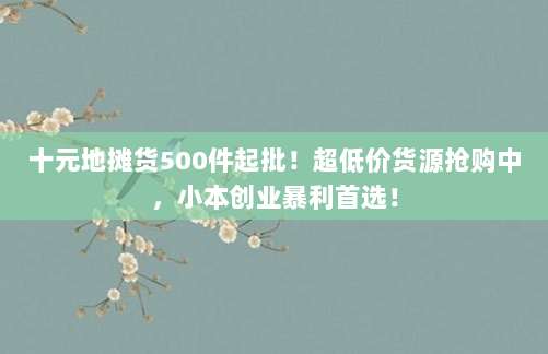 十元地摊货500件起批!超低价货源抢购中,小本创业暴利首选!