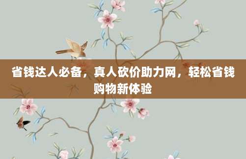 省钱达人必备,真人砍价助力网,轻松省钱购物新体验
