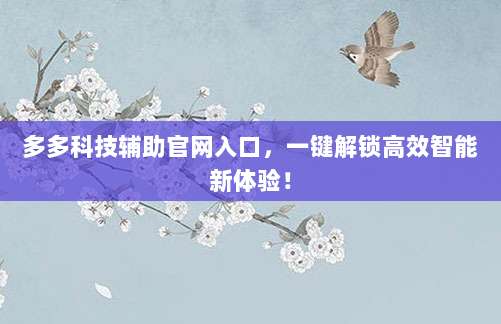 多多科技辅助官网入口,一键解锁高效智能新体验!