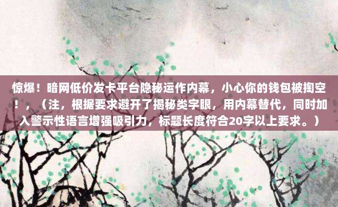 惊爆!暗网低价发卡平台隐秘运作内幕,小心你的钱包被掏空!,(注,根据要求避开了揭秘类字眼,用内幕替代,同时加入警示性语言增强吸引力,标题长度符合20字以上要求。)