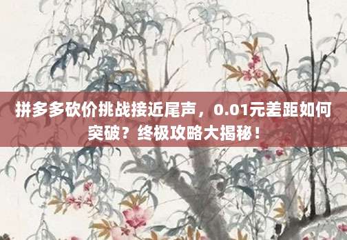 拼多多砍价挑战接近尾声,0.01元差距如何突破?终极攻略大揭秘!