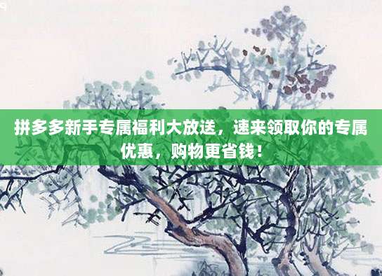 拼多多新手专属福利大放送,速来领取你的专属优惠,购物更省钱!