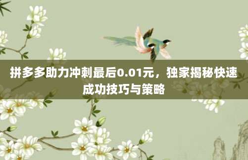 拼多多助力冲刺最后0.01元,独家揭秘快速成功技巧与策略
