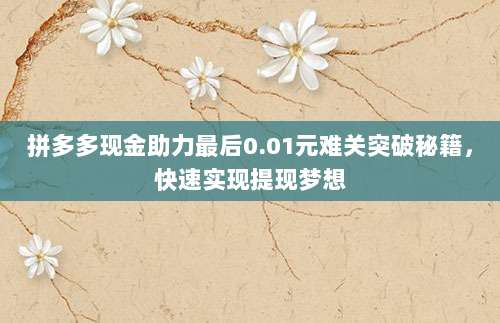 拼多多现金助力最后0.01元难关突破秘籍,快速实现提现梦想