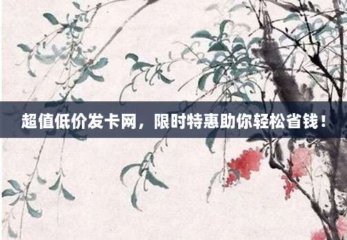 超值低价发卡网,限时特惠助你轻松省钱!