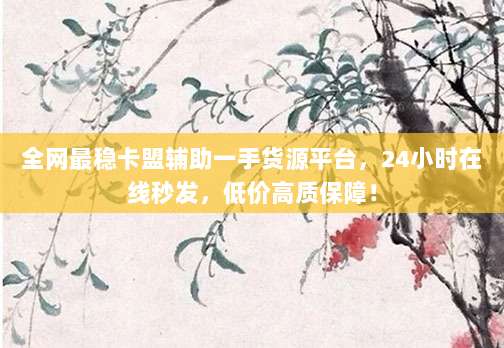 全网最稳卡盟辅助一手货源平台,24小时在线秒发,低价高质保障!