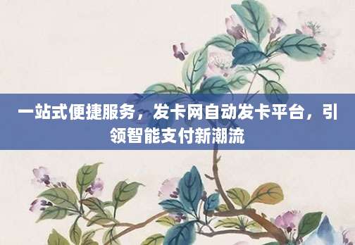 一站式便捷服务,发卡网自动发卡平台,引领智能支付新潮流