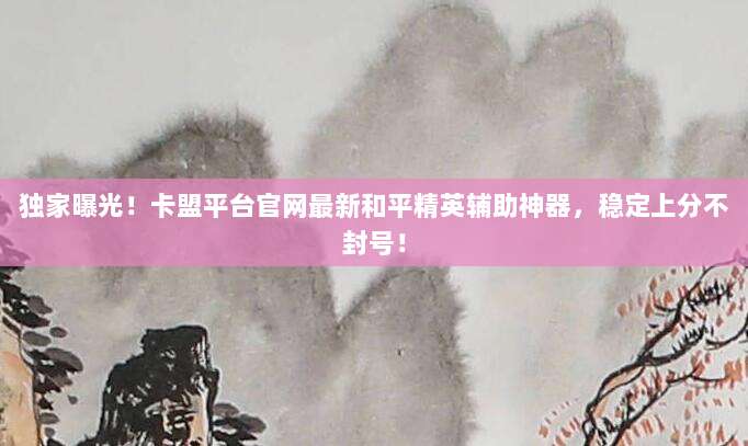 独家曝光!卡盟平台官网最新和平精英辅助神器,稳定上分不封号!