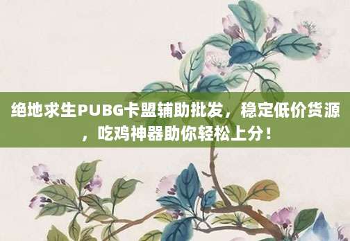 绝地求生PUBG卡盟辅助批发,稳定低价货源,吃鸡神器助你轻松上分!
