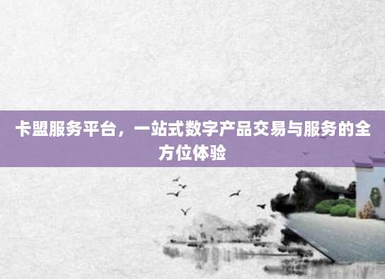 卡盟服务平台,一站式数字产品交易与服务的全方位体验
