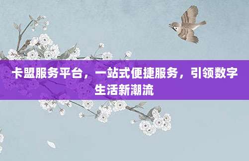 卡盟服务平台,一站式便捷服务,引领数字生活新潮流