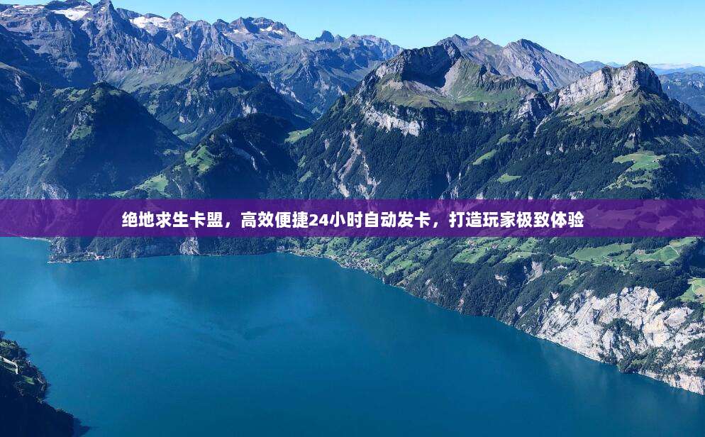 绝地求生卡盟,高效便捷24小时自动发卡,打造玩家极致体验