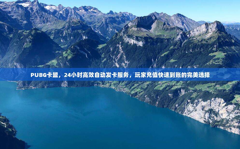 PUBG卡盟,24小时高效自动发卡服务,玩家充值快速到账的完美选择
