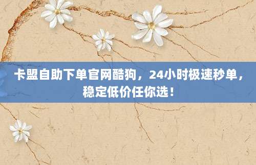 卡盟自助下单官网酷狗,24小时极速秒单,稳定低价任你选!