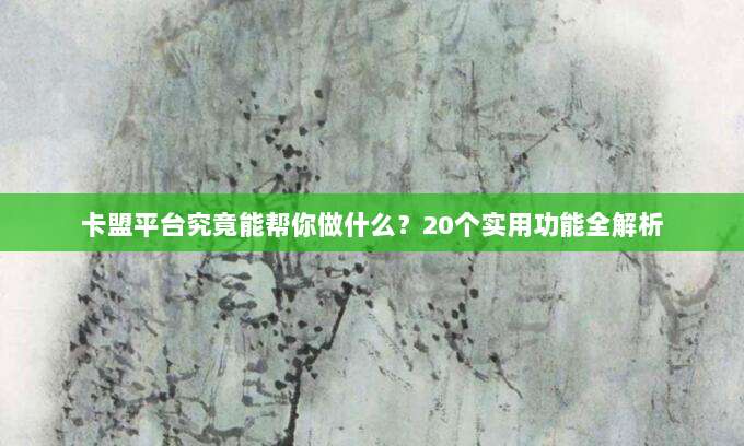 卡盟平台究竟能帮你做什么?20个实用功能全解析