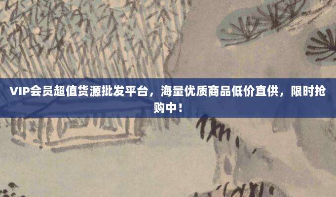 VIP会员超值货源批发平台,海量优质商品低价直供,限时抢购中!