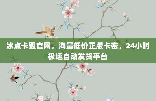 冰点卡盟官网,海量低价正版卡密,24小时极速自动发货平台