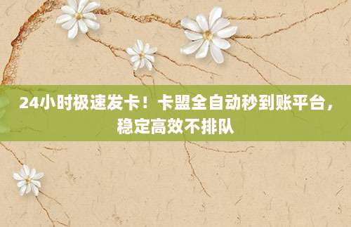 24小时极速发卡!卡盟全自动秒到账平台,稳定高效不排队