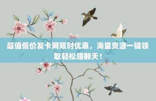 超值低价发卡网限时优惠,海量资源一键领取轻松赚翻天!