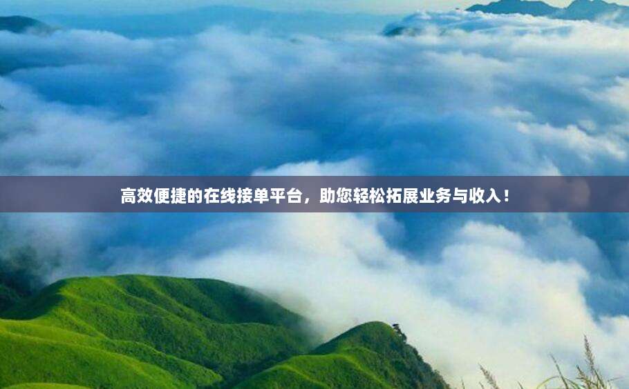 高效便捷的在线接单平台,助您轻松拓展业务与收入!