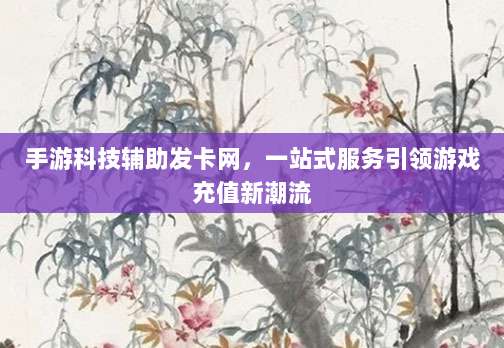 手游科技辅助发卡网,一站式服务引领游戏充值新潮流