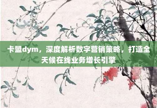 卡盟dym,深度解析数字营销策略,打造全天候在线业务增长引擎