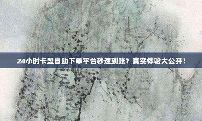 24小时卡盟自助下单平台秒速到账?真实体验大公开!