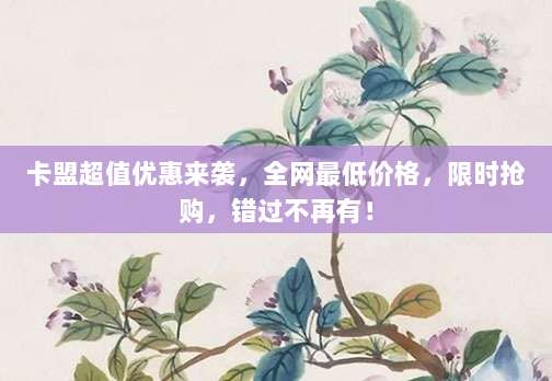 卡盟超值优惠来袭,全网最低价格,限时抢购,错过不再有!