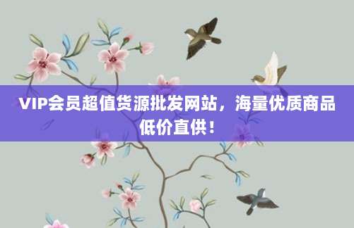 VIP会员超值货源批发网站,海量优质商品低价直供!